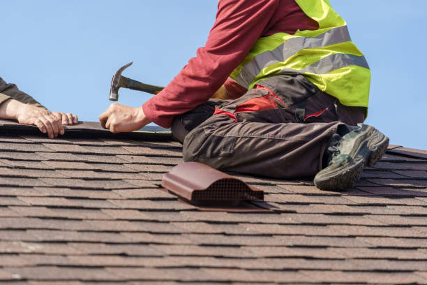 Best Local Roofing Companies  in Dickinson, TX